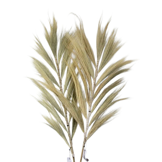 Rayung Grass Blond - 2m