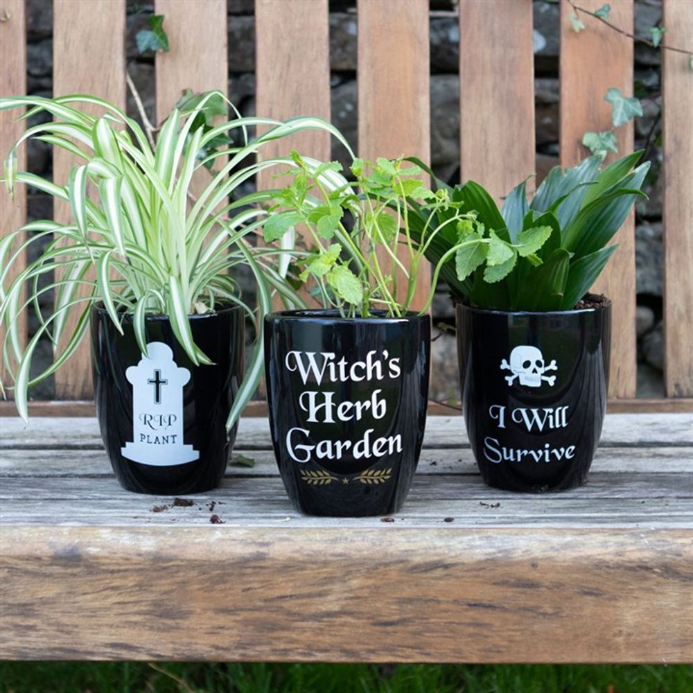 I Will Survive Gothic Plant Pot