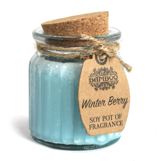 Winter Berry Soy Pot of Fragrance Candles