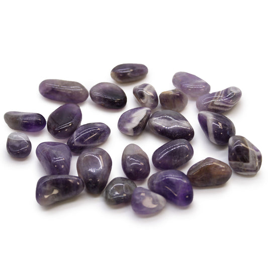 African Tumble Stones - Amethyst