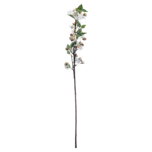 English Blossom Branch