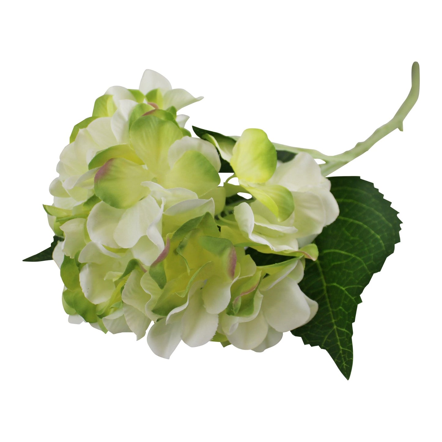 Single Hydrangea Spray, Cream & Green Flower, 49cm