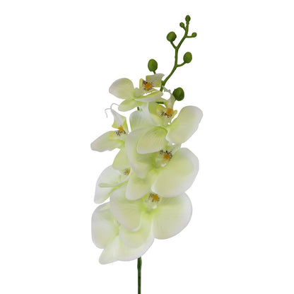 Single Orchid Spray, Cream Flowers, 85cm