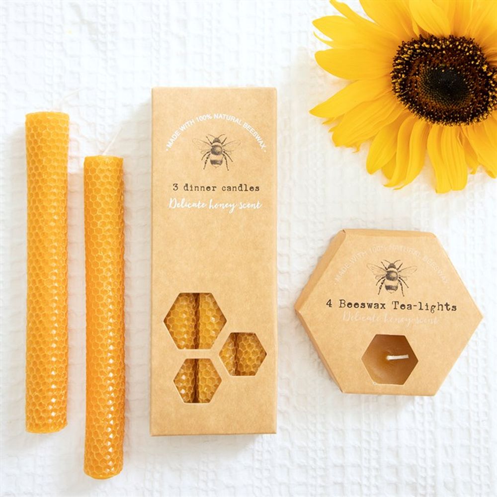 Set of 3 Beeswax Candles